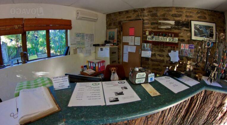 Kunene River Lodge - Photo5