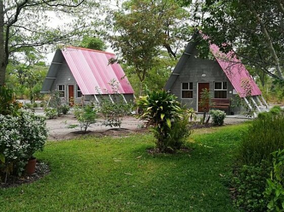 Happy Forest B&B