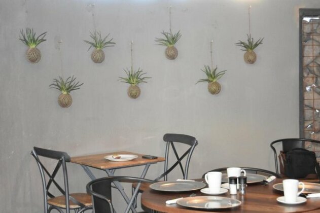 Quiver Inn Guesthouse - Photo2