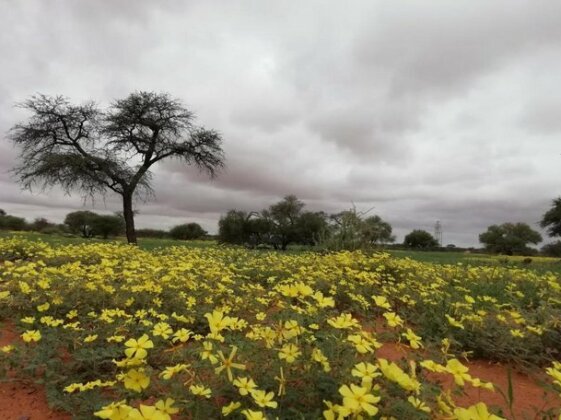 Jansen Kalahari Guest Farm - Photo3