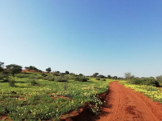 Jansen Kalahari Guest Farm - Photo4