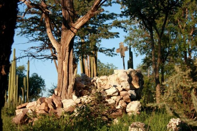 Ghaub Lodge - Photo3
