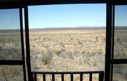 Aloegrove Safari Lodge - Photo3