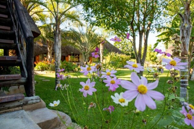 Lion's Den Guesthouse - Photo3