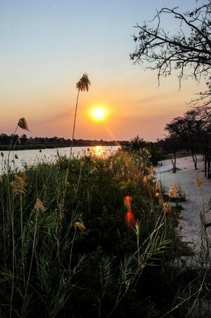Camp Hogo Kavango - Photo5