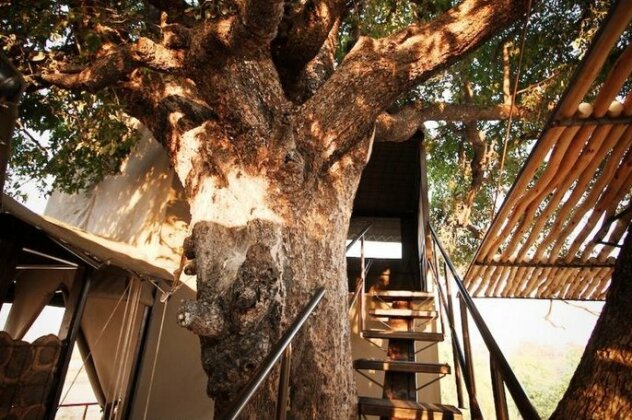 Jackalberry Tented Camp - Photo2
