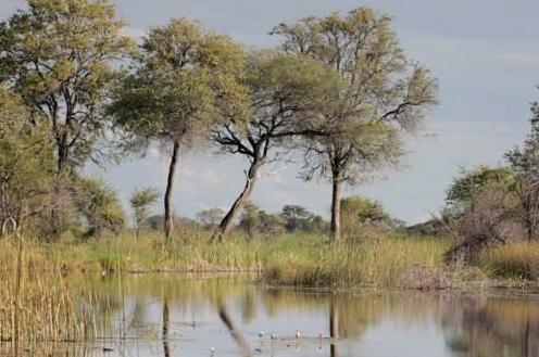 Nkasa Lupala Tented Lodge - Photo5