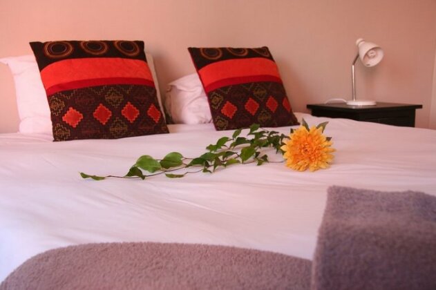 Dunedin Star Guesthouse - Photo5