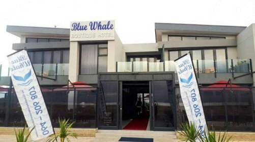 Blue Whale Hotels