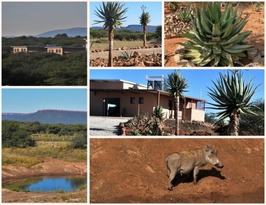 Cheetah View Lodge - Photo4