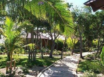 Coral Palms Resort - Photo3