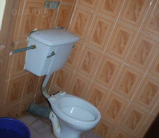 Rex Guest Inn - Photo2