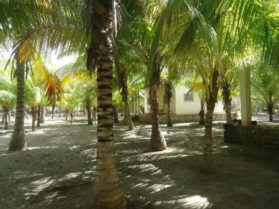 Tropicalia - Photo4