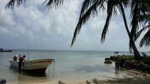 Island Roots Hostel