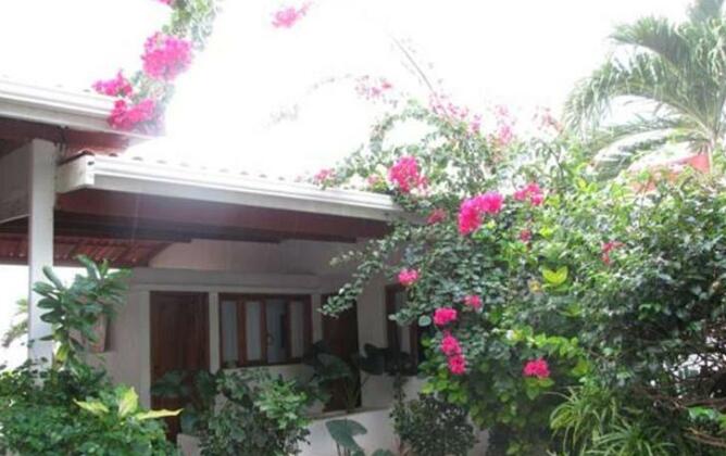 Holiday Home Hen's Tooth - Photo2