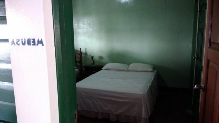 Hostal El Pulpo - Photo3