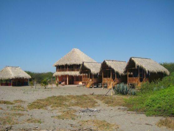 Surfing Turtle Lodge