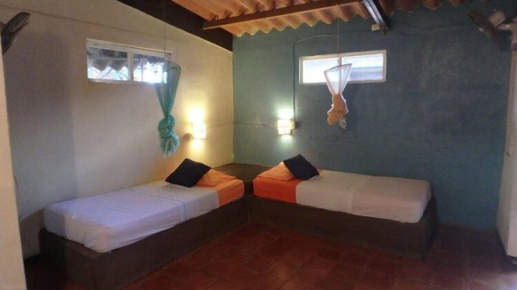 The Lazy Turtle Hotel and Restaurant - Photo5