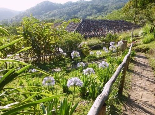 Finca Esperanza Verde - Photo2