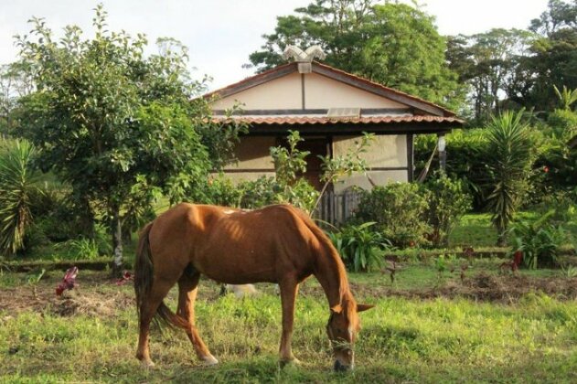 Finca Lindos Ojos - Photo2