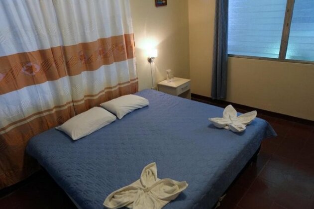 Hostal La Buena Onda - Photo4