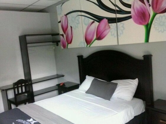 Hotel Diplomatico - Photo3