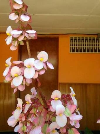 Hotel Moderno Jinotega - Photo3