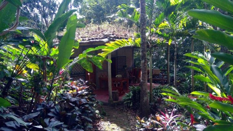 Quiet forest cabins