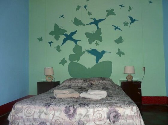 Hostel Colibri - Photo5