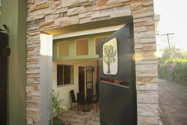 The Olive Tree Managua - Photo2