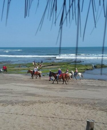 Casa Playa San Diego - Photo4