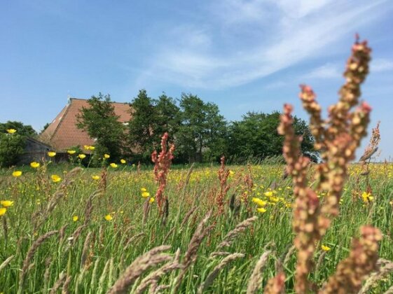 B&B Boerderij De Tempel