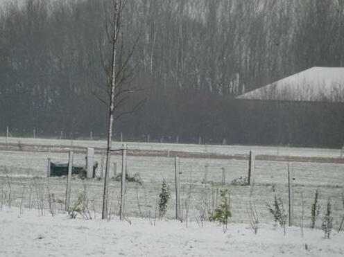 Boerderij de Spijken - Photo5