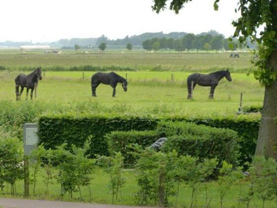 Hotel Brasserie Oud Maren - Photo5