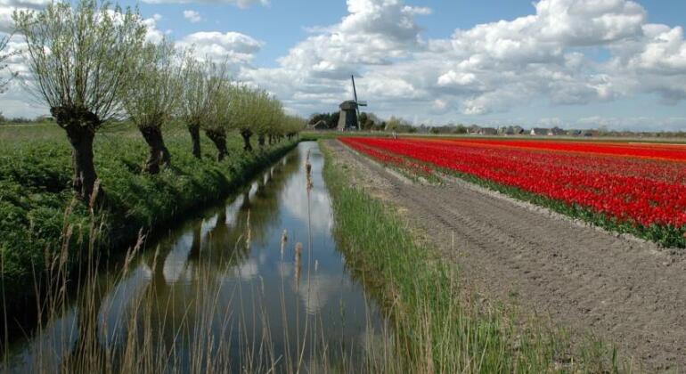 Restinn Medemblik - Photo2