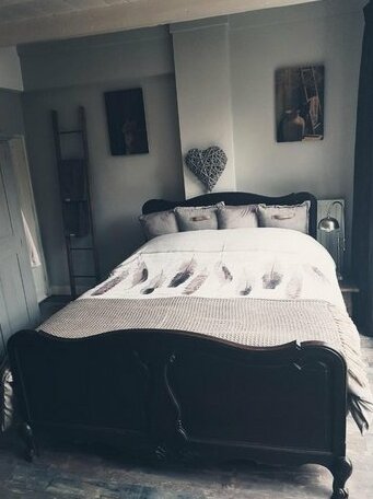 Bed&Cat - Photo2