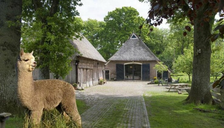 Bed & Breakfast De Schaapskooi