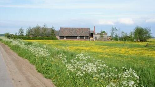 B&B Poldergoed