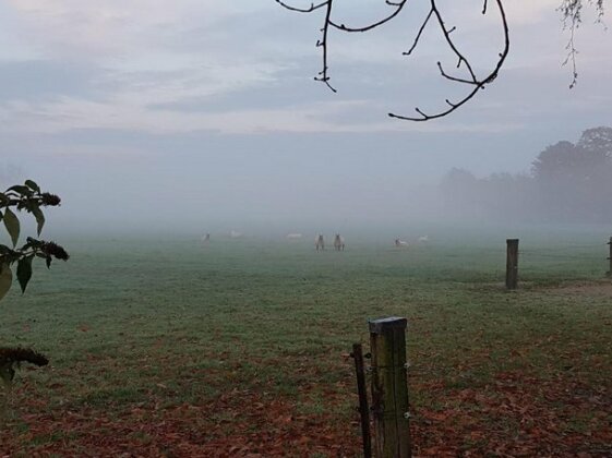 Het Schaapje - Photo5