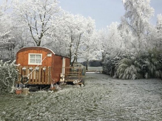 B&B Hetvrijdagsgevoel - Photo5