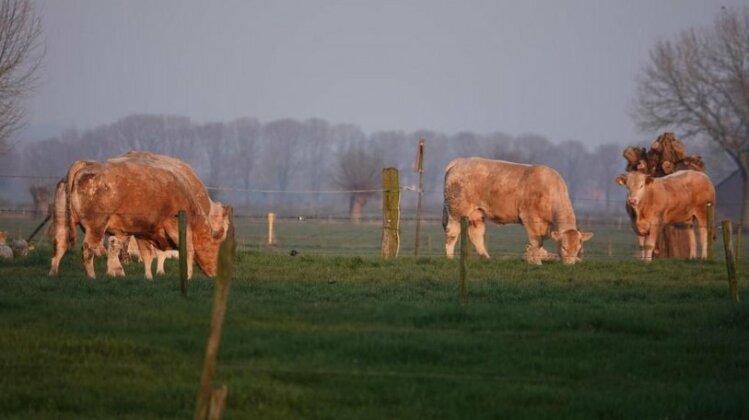 B&B Bij Bronckhorst - Photo2