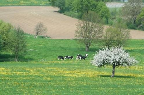 Hoeve de Linde - Photo3