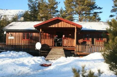 Norwegian Wood Cabin Askland - Photo2
