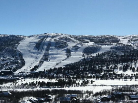 Ustedalsfjorden Overnatting - Photo4