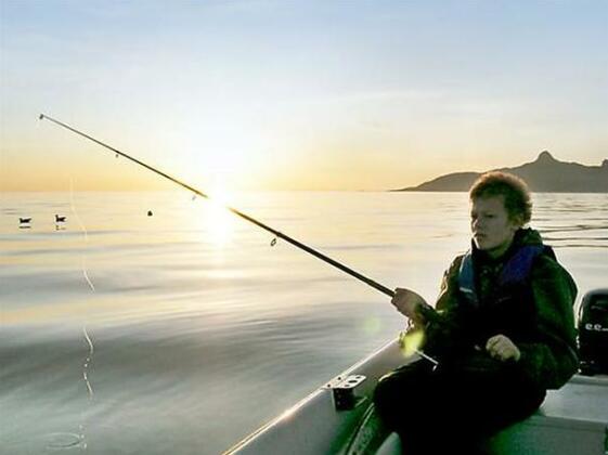 Lofoten 1 Hadsel Nordland - Photo2