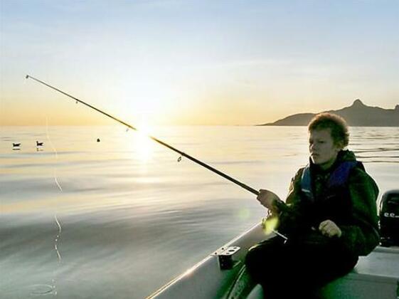 Lofoten 1 Hadsel Nordland - Photo2