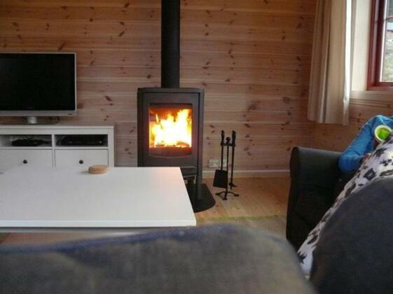 Chalet Vradal - Photo3