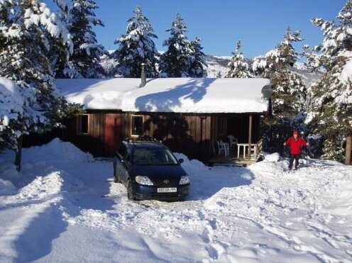 Nisser Hyttesenter - Photo4