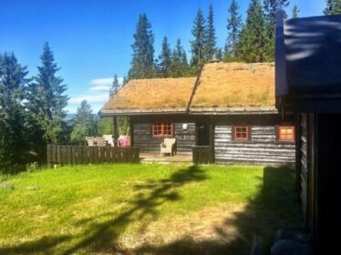 Fjellkvil - 8 persons cabin in Valdres