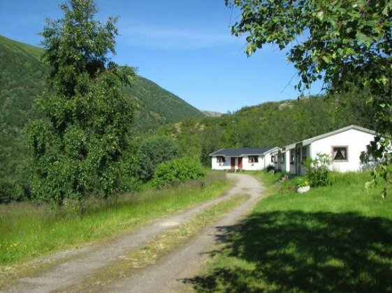 Skjellbogen Hyttegrend - Photo4